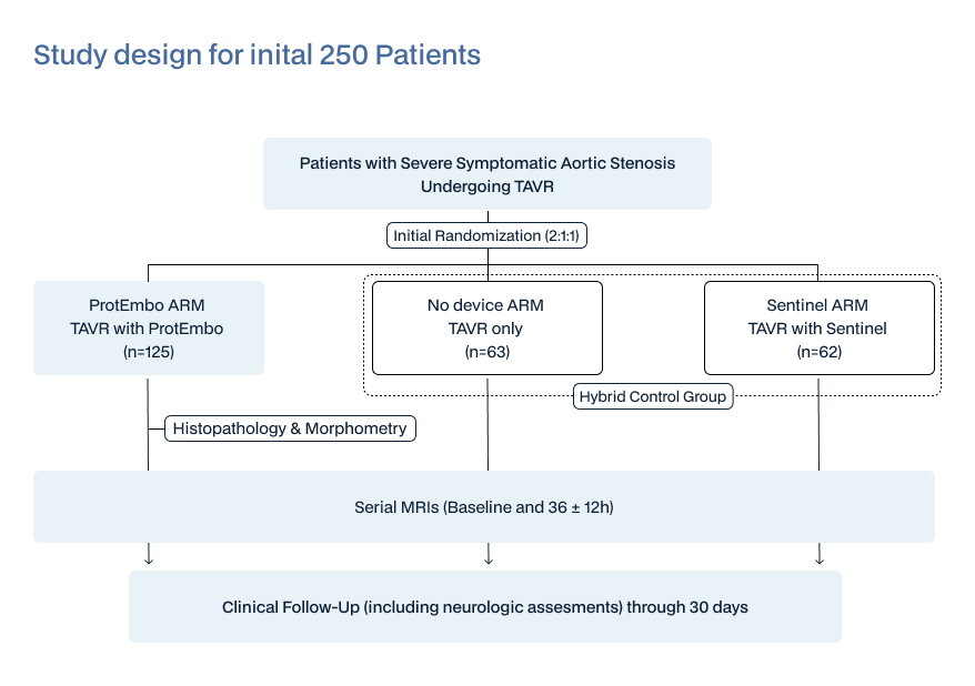 graphical overview of the study design